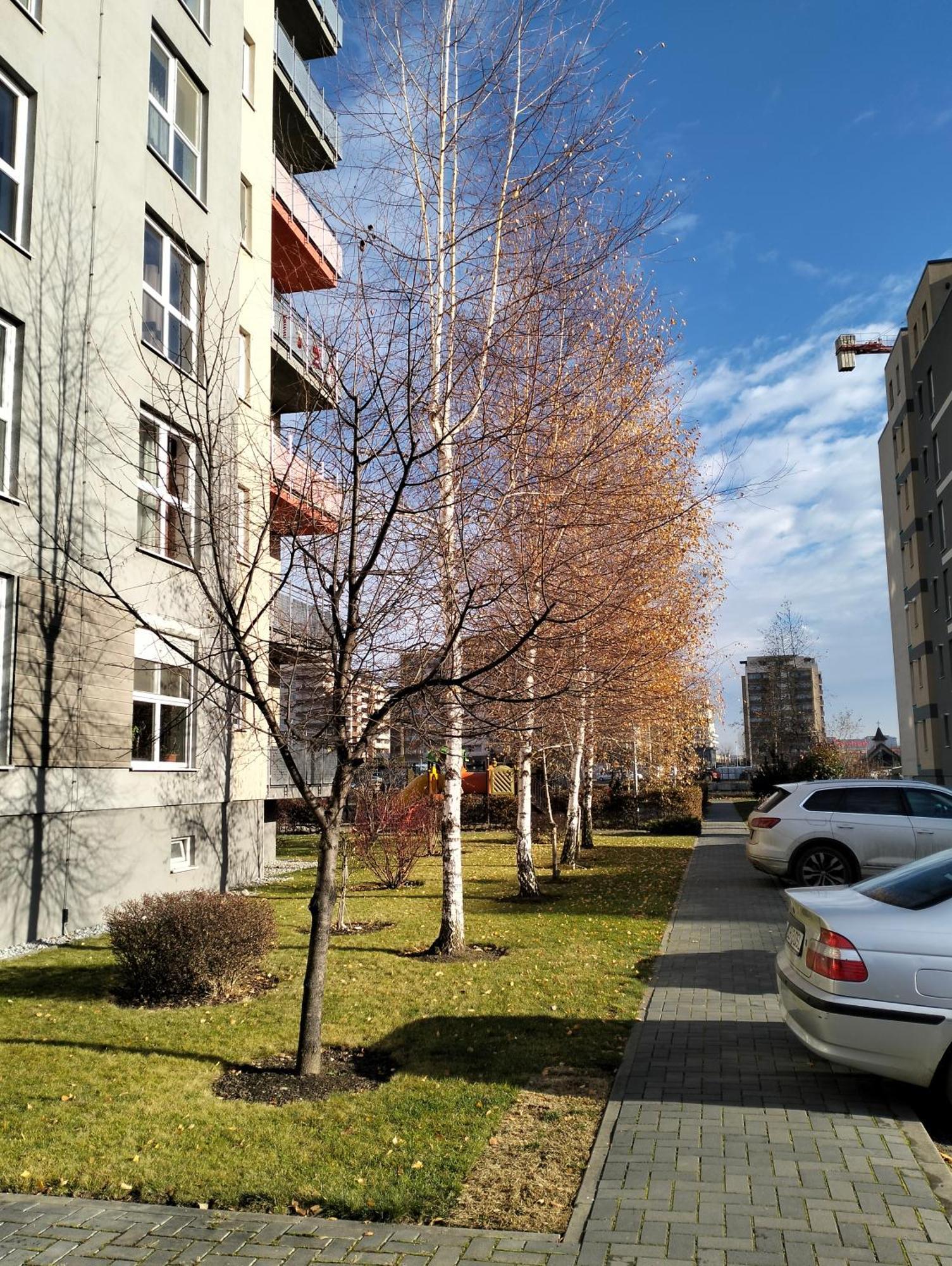 M&I Dream Stay Braşov Exteriör bild
